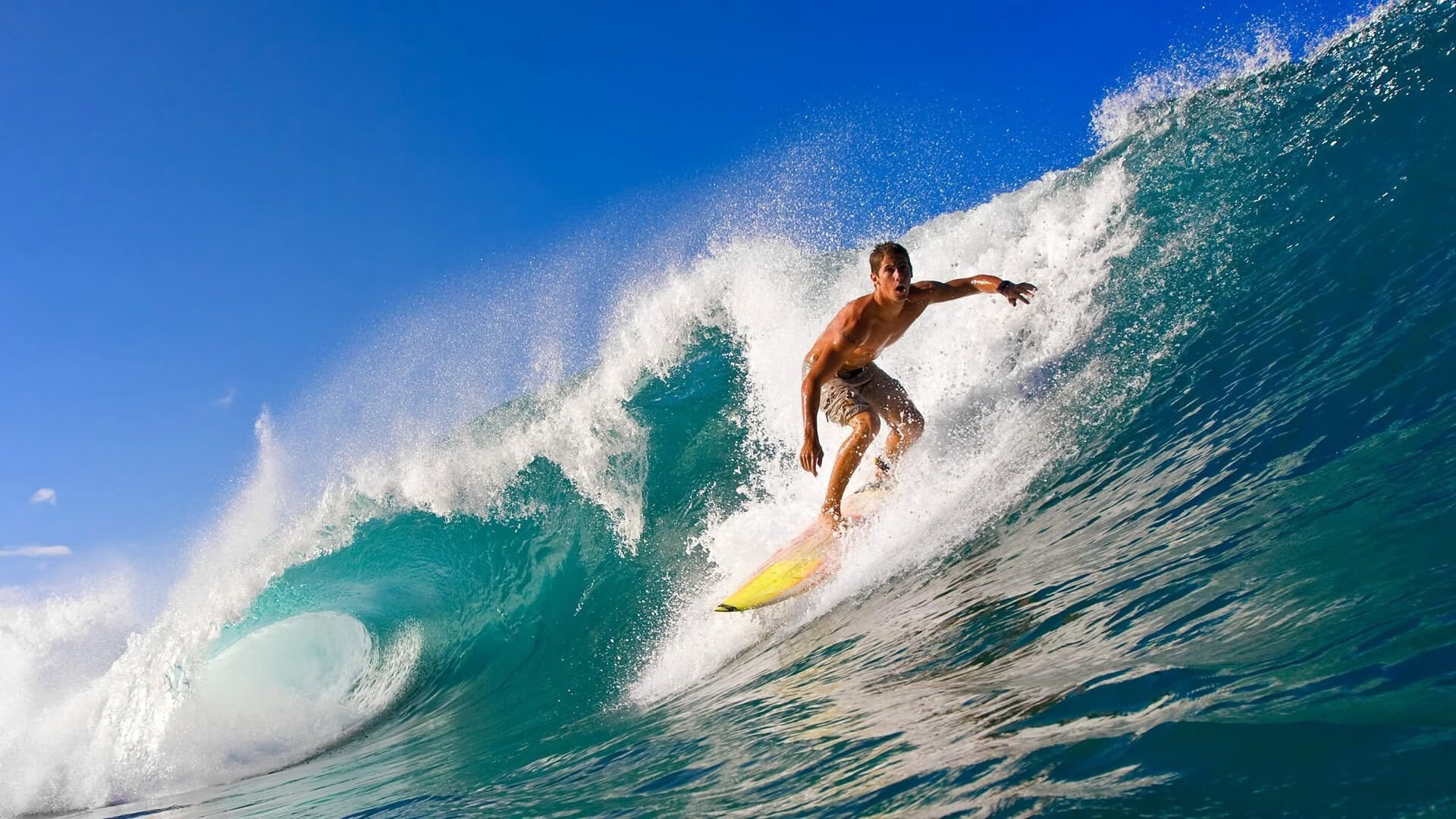 未来足球场馆实现“碳中和”目标,绿色科技应用成果显著