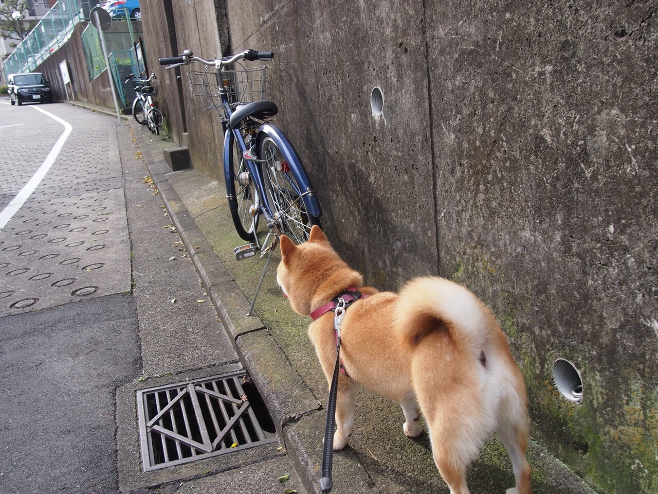 九游娱乐(jiuyou)官方网站-_电子竞技世界冠军赛：虚拟战场的王者归来_，电子竞技比赛现场