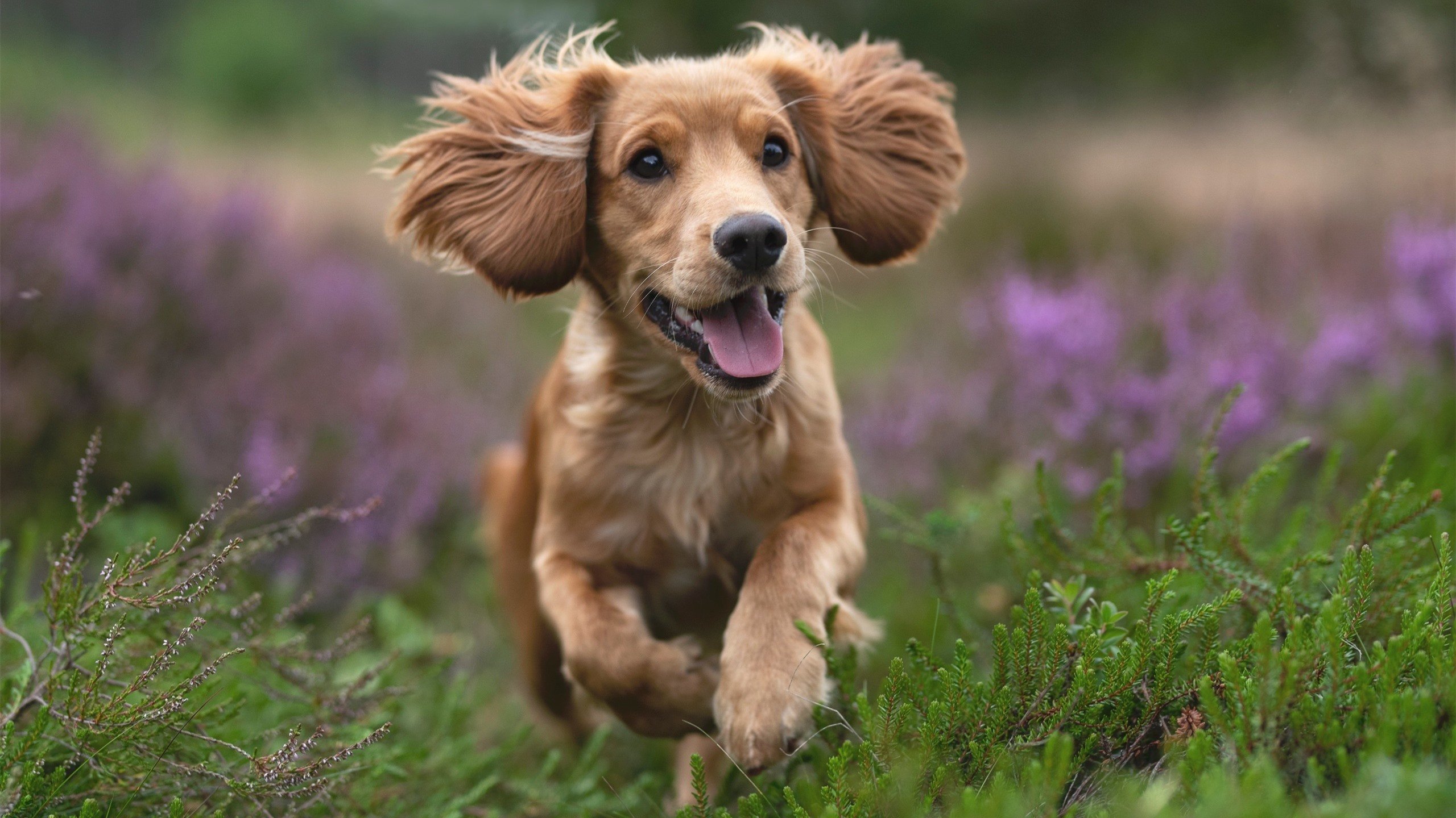 《2025英雄联盟全球总决赛，小组赛激战正酣》，2050年英雄联盟总决赛