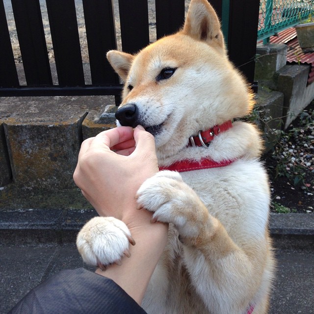 九游娱乐-《电竞产业链深入：从硬件到媒体全覆盖》，电竞的产业链