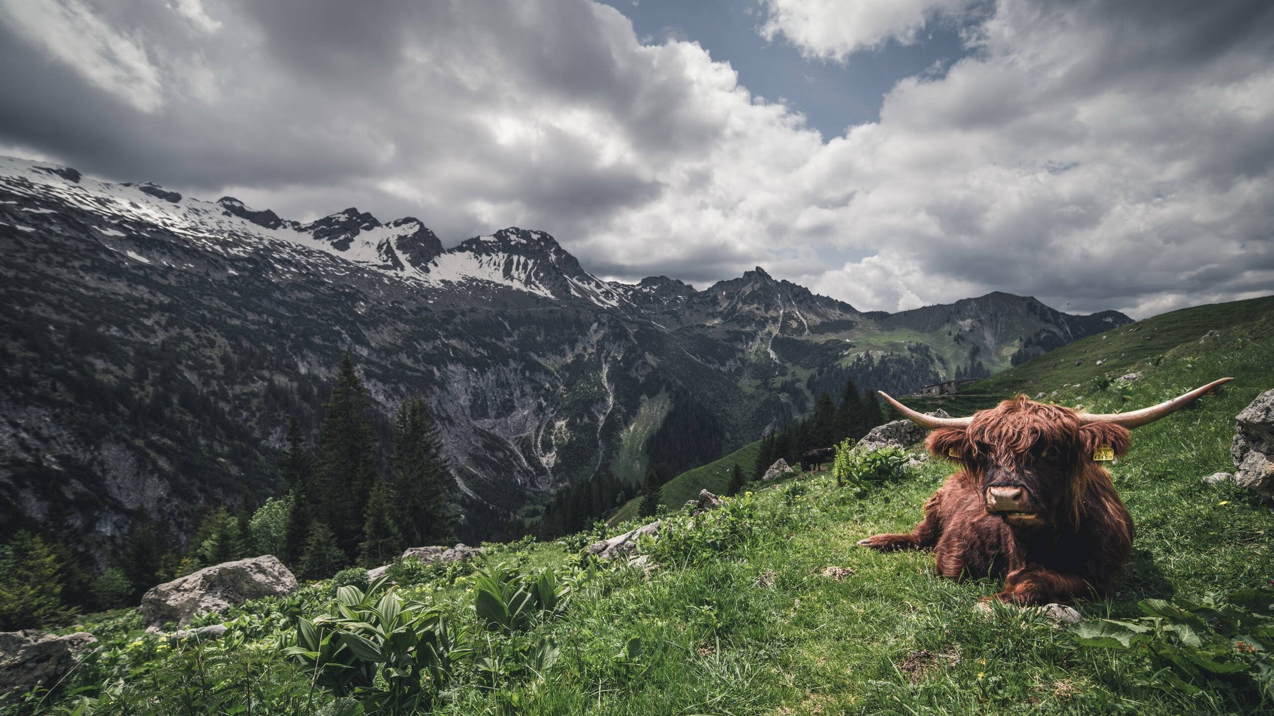 九游游戏中心-全国青少年“篮球文化节”在昆明跨界融合，推广多元体育文化，昆明青少年篮球训练营