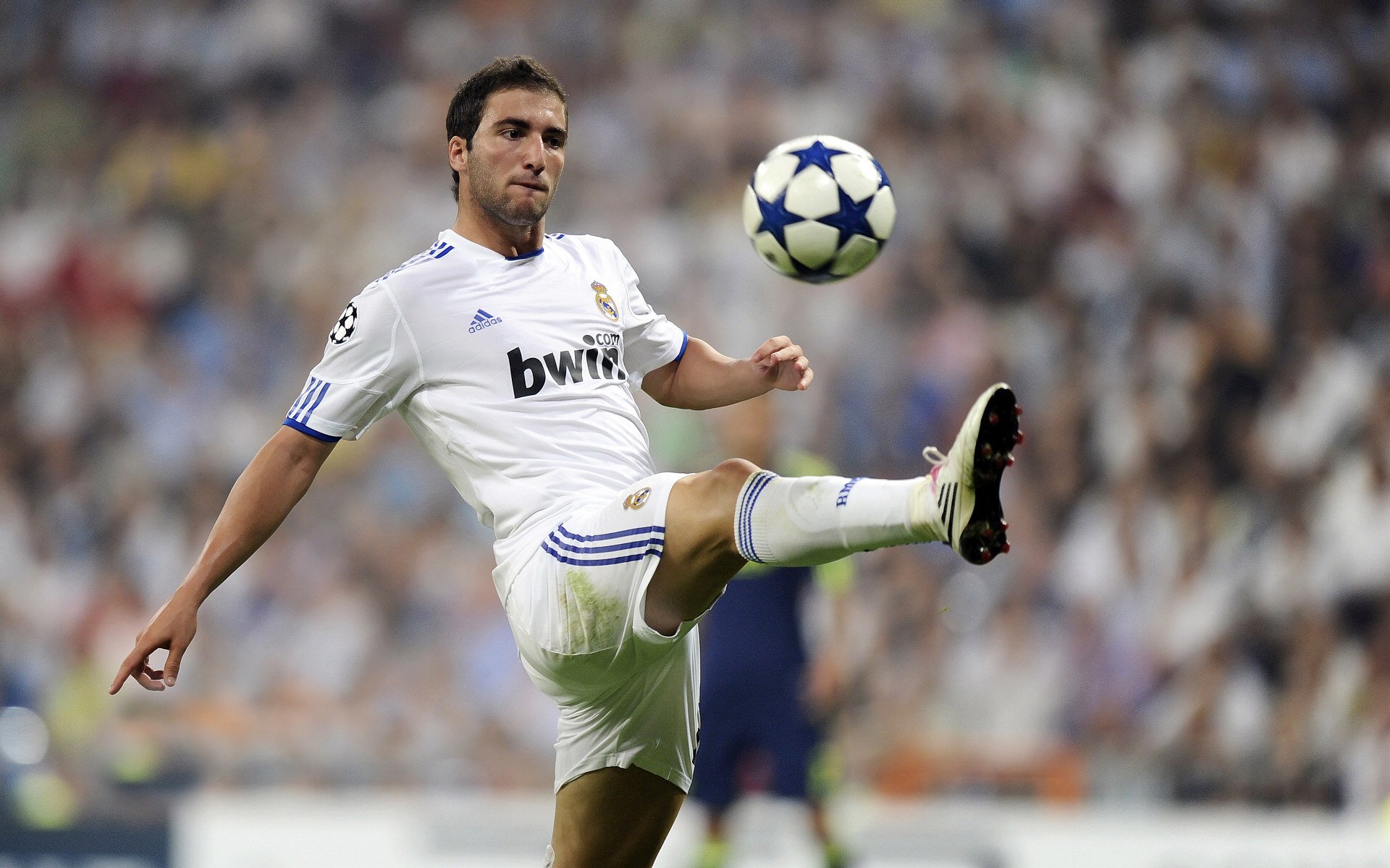 九游APP官网-“马丁·高尔西：美洲狮队的未来领袖，展现橄榄球全能技艺”